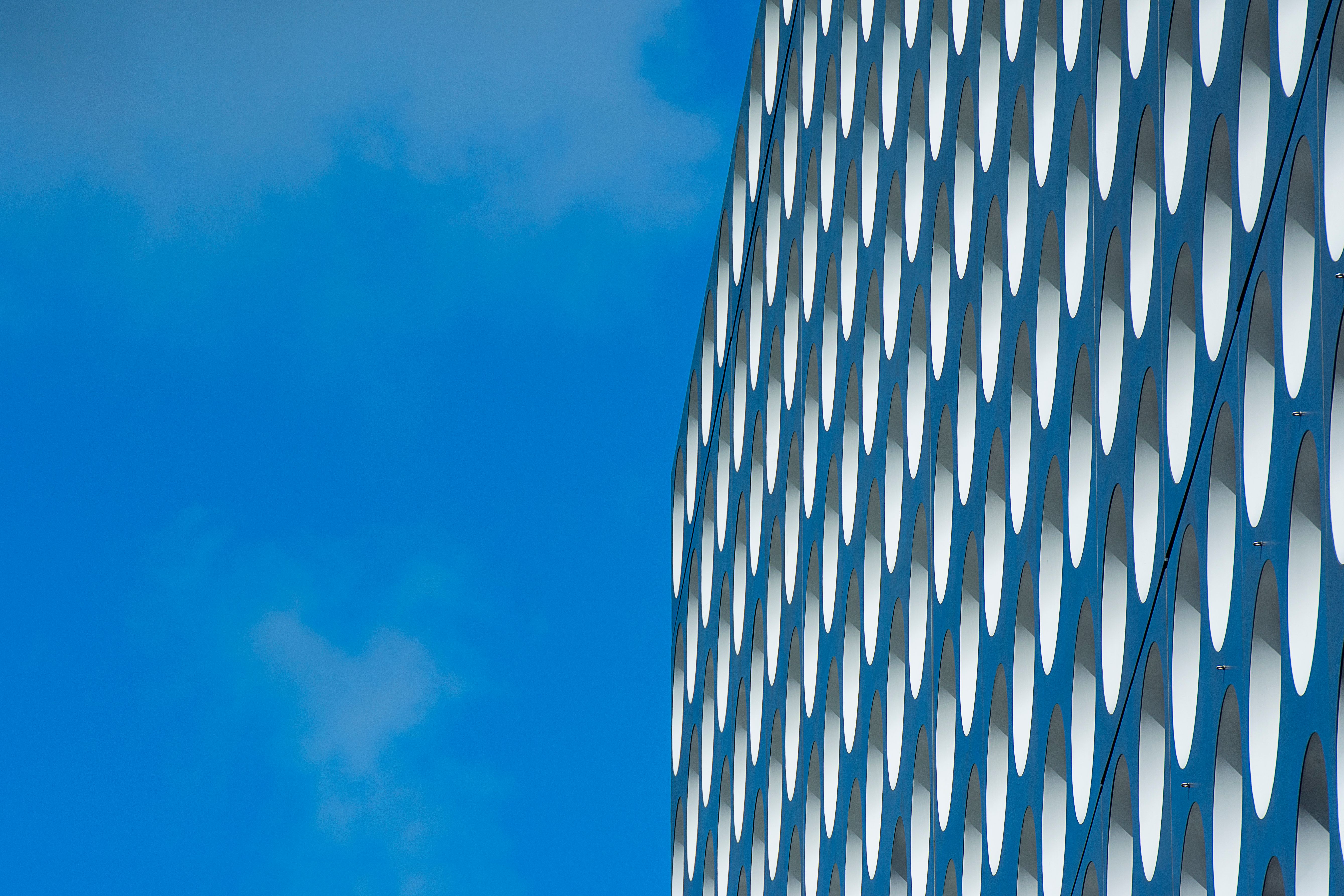 These new MIT Sloan courses track emerging technologies and business trends — Photo by Jan van der Wolf on Pexels