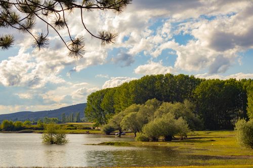 Free Tranquil summer scene showcasing trees and a serene lake under a bright sky. Stock Photo