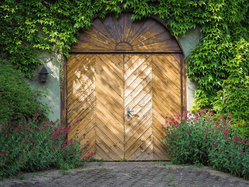 A wooden door with vines growing around it