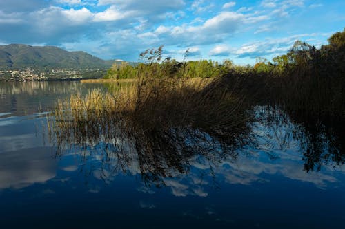 Fotobanka s bezplatnými fotkami na tému kleuren, mrak, povahy