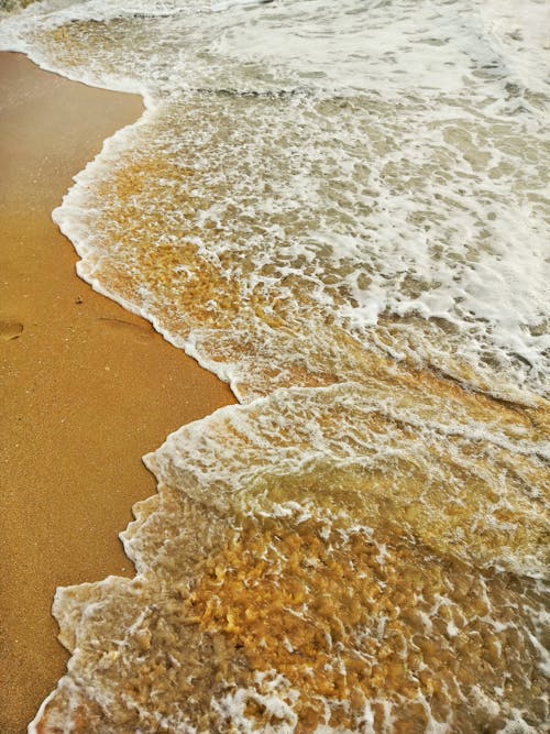 Free stock photo of beach, beach sand, foam