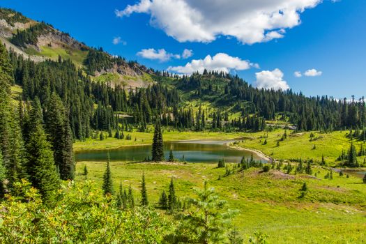 Picturesque view of a tranquil lake surrounded by evergreen trees and hills on a sunny day.