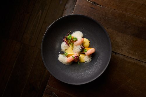 Free Elegant seafood dish with foam, herbs, and microgreens on a black plate. Stock Photo