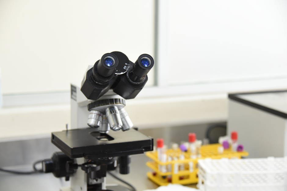 Forensic pathology laboratory equipment used in autopsy investigations - michael virgil Forensic pathology laboratory equipment used in autopsy investigations - michael virgil