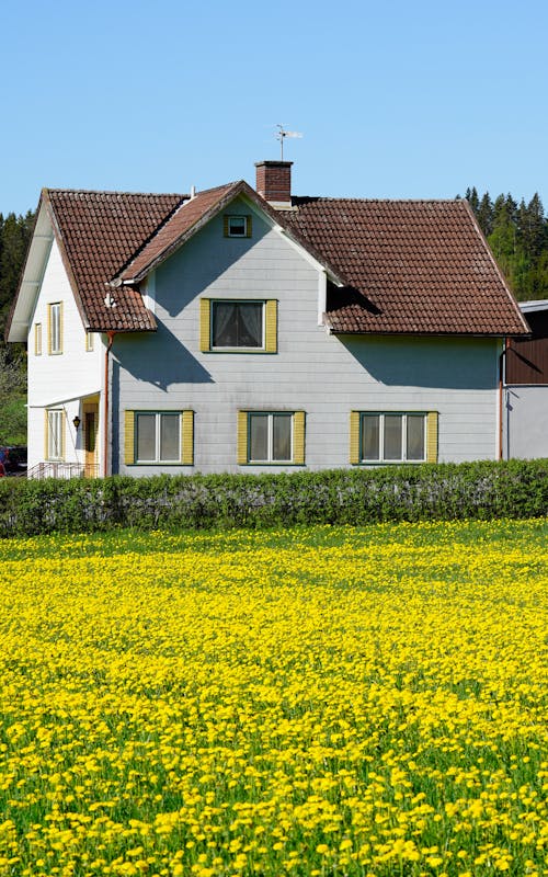 Ingyenes stockfotó bungaló, család, építészet témában