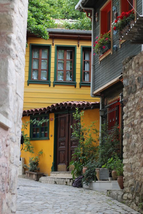 Free stock photo of balat, blooms, colored houses