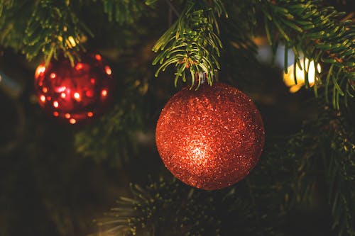 Red Bauble on Christmas Tree