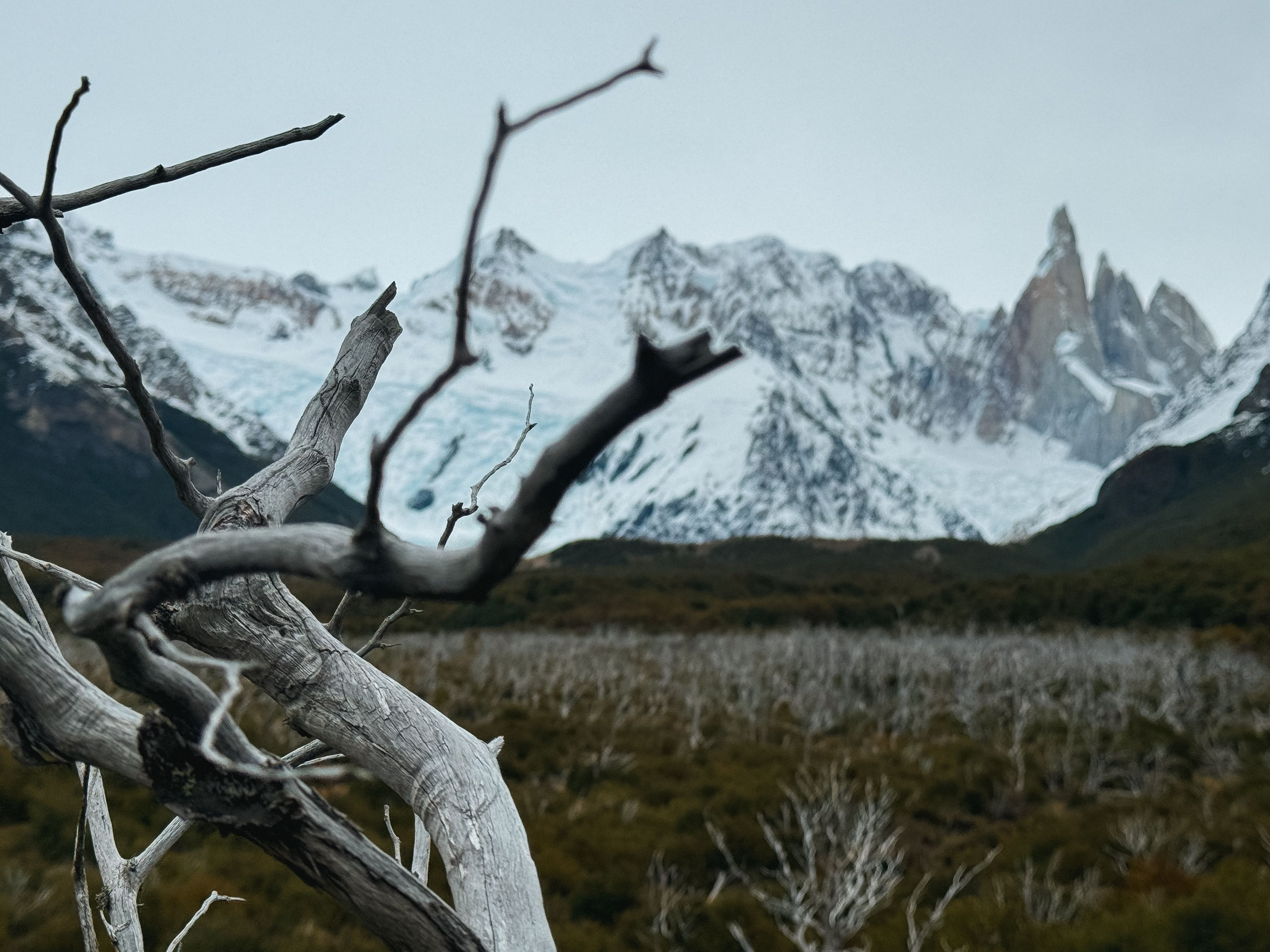 Lago Torre i Cerro Torre
