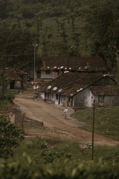 Fotos de stock gratuitas de aldeano, pueblo africano, pueblo costero