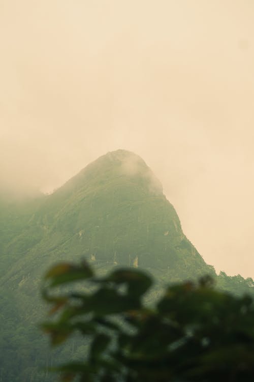 Fotos de stock gratuitas de acantilado de montaña, colina, colina verde