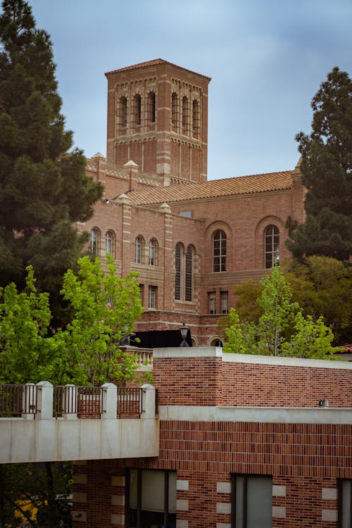 batiment, 加州大學洛杉磯分校, 博物館 的 免費圖庫相片