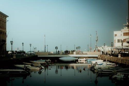 A city with a harbor and boats in the water