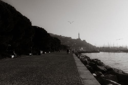 A black and white photo of a walkway near the water