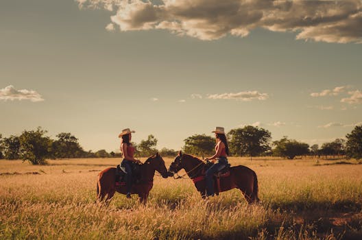 日落时分，阳光明媚的巴西田野上，两名女子骑马而行，展现了大自然的宁静