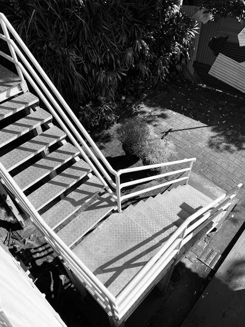Black and White Stairs