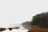 Tranquil wetland near bushes and yellow grass under thick fog during cold autumn morning