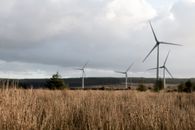 Windmill farm poles amidst countryside fields
