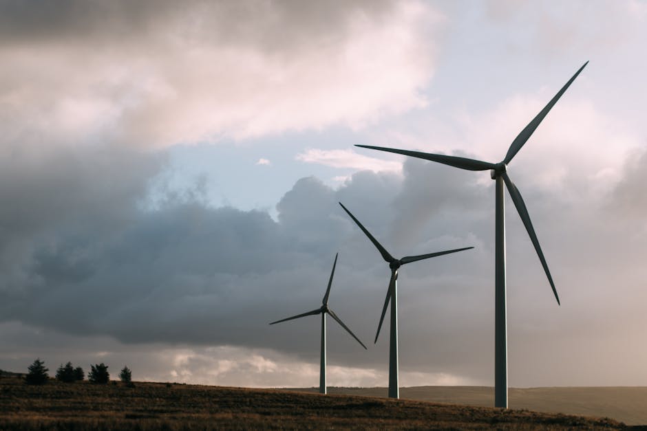 comment transformer l'énergie éolienne en électricité