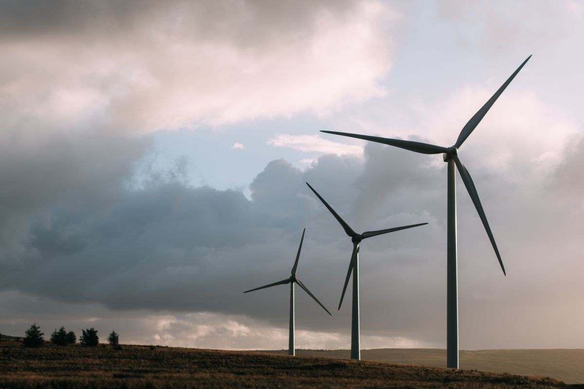 AI for Grid Resilience and Fault Detection