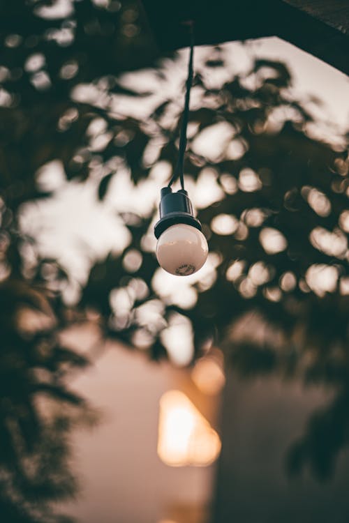 Photo of Light Bulb Hanging