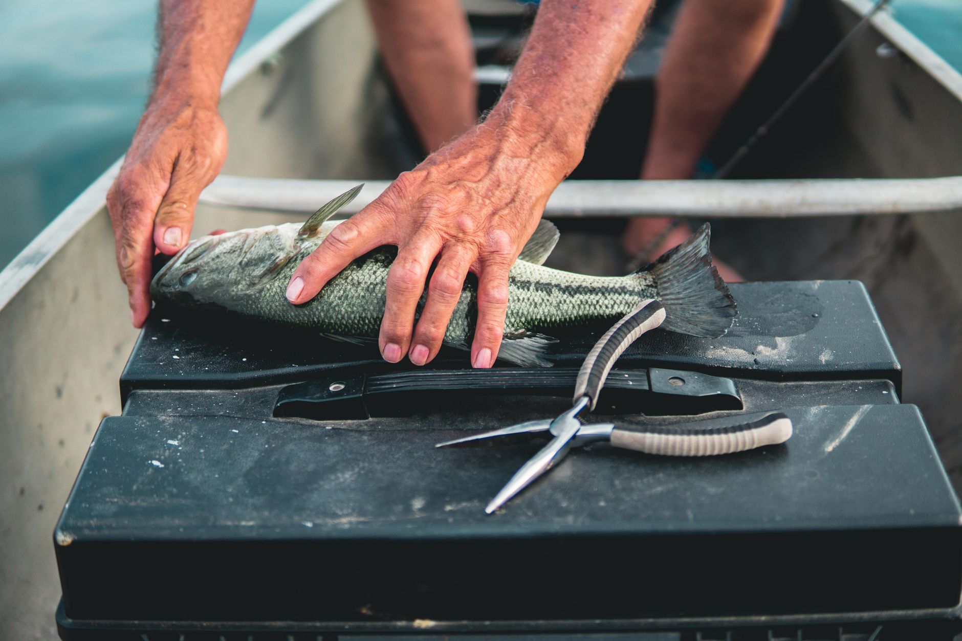 5 Best Pliers Under $50 (2026)