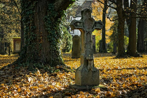 Gray Cross Statue Near Tree