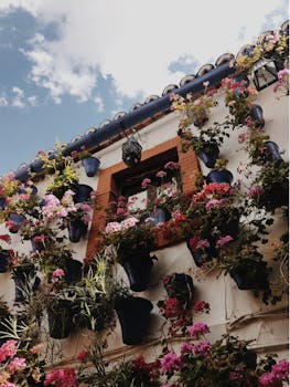 在西班牙科尔多瓦，外墙装饰着充满活力的鲜花和花盆