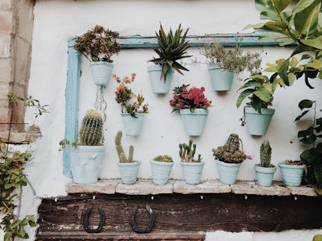 A rustic display of various succulents and cacti in pots on a wall in Córdoba, Spain.