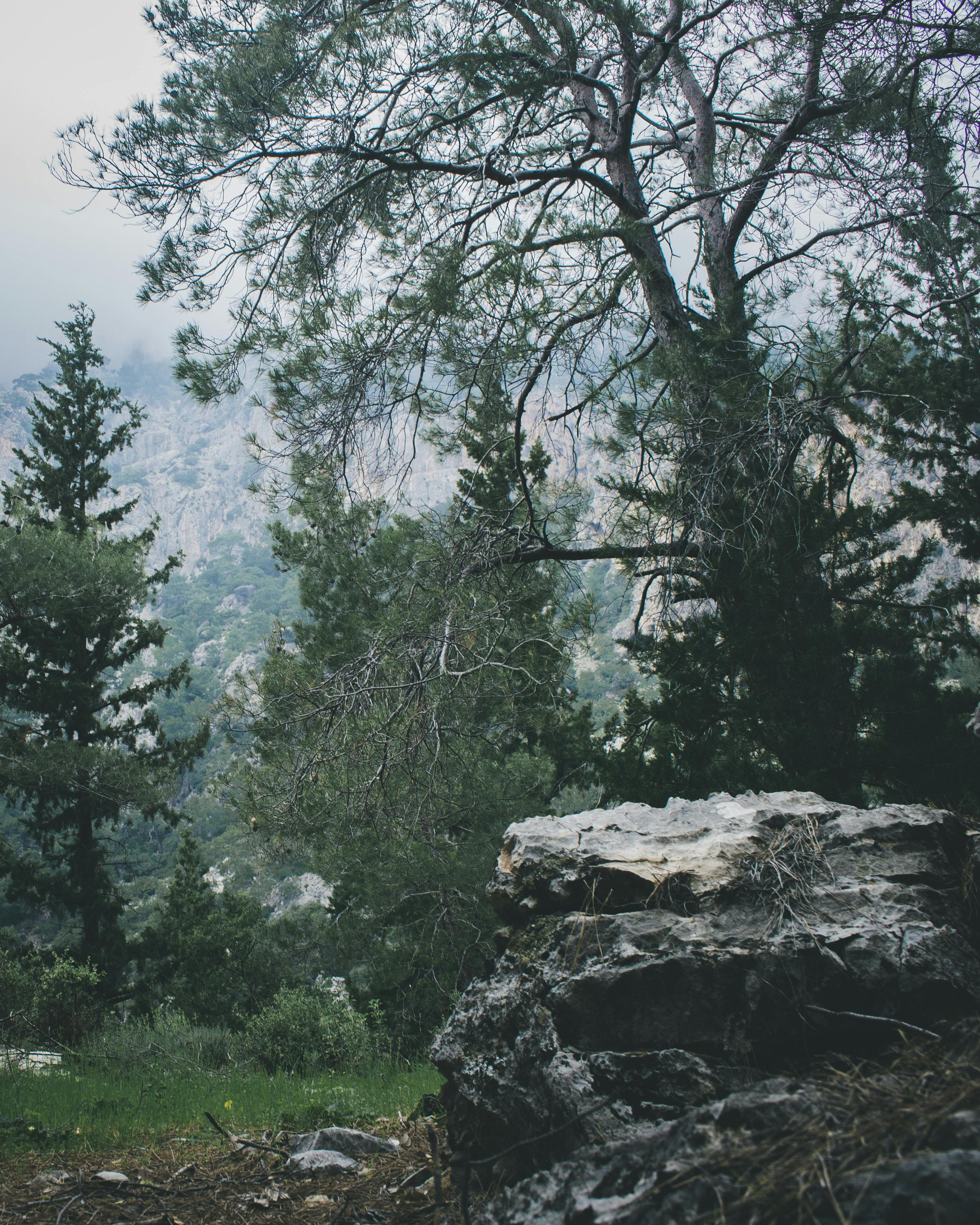 Features and Performance‍ Evaluation of Panasonic MX-SC3000