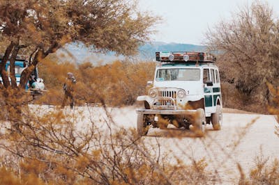 Jeep Wrangler: The Ultimate Off-Road SUV