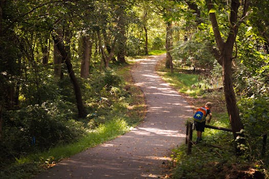 一个背着五颜六色背包的孩子，在马里兰州贝塞斯达探索一条树木繁茂的小径