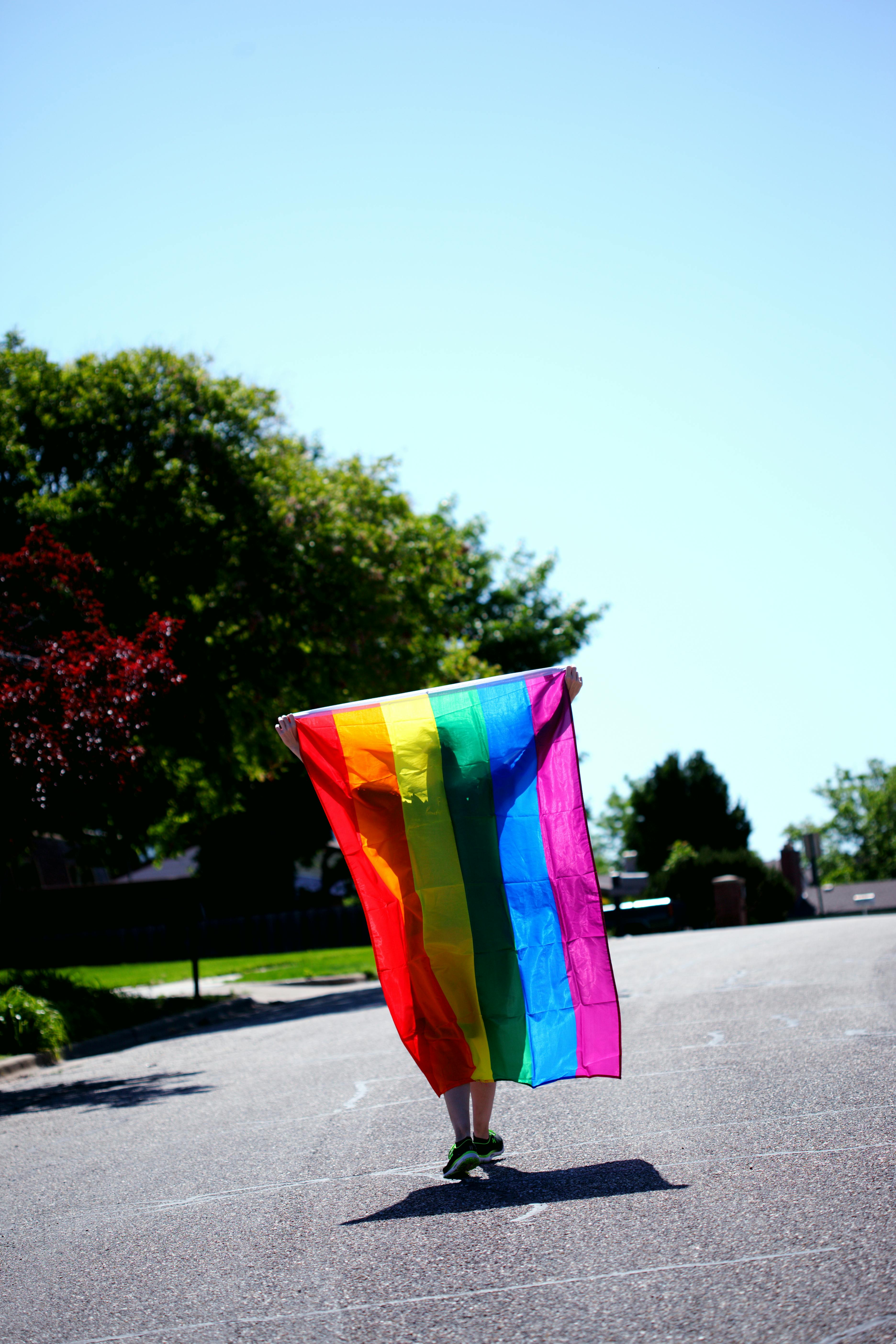 Stylish guy holding an LGBT rainbow flag walking and looking back stock  photo (269948) - YouWorkForThem