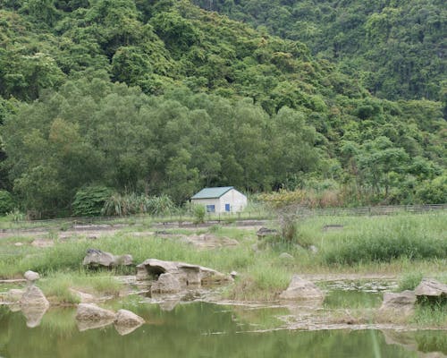 リゾート地, リラックス, 山村の無料の写真素材