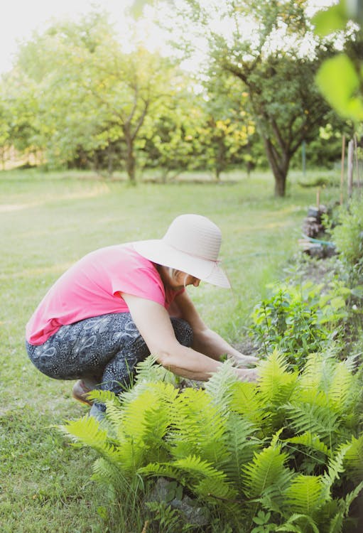 Jardinage Femme · Photo gratuite