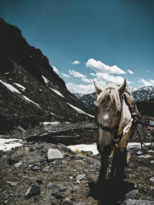 Gratis stockfoto met blauwe lucht, landschap, natuur