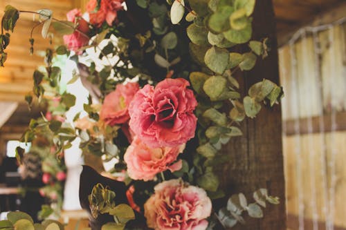 Δωρεάν στοκ φωτογραφιών με ανθοδέσμη, ροζ, ροζ λουλούδι