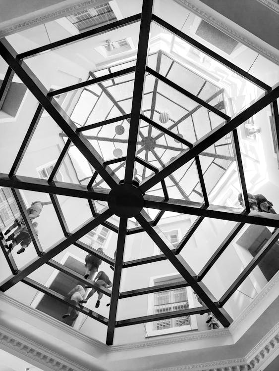 Black and white photo of a glass dome