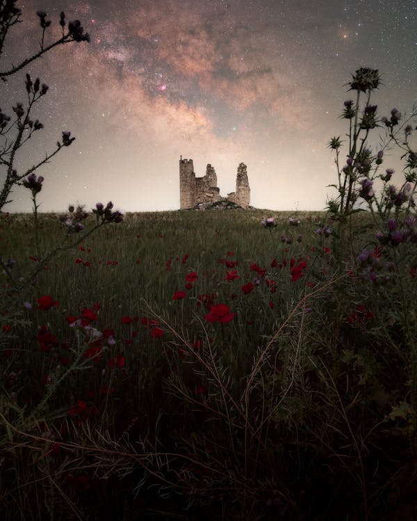 Esta imagen nos lleva a un lugar donde el tiempo se detiene, donde las paredes de un castillo olvidado susurran historias de antaño mientras las estrellas iluminan el presente.  Que cada d...