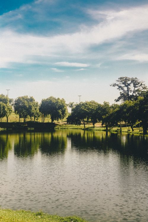 Free Tranquil landscape featuring a reflective lake surrounded by lush trees under a clear blue sky. Stock Photo