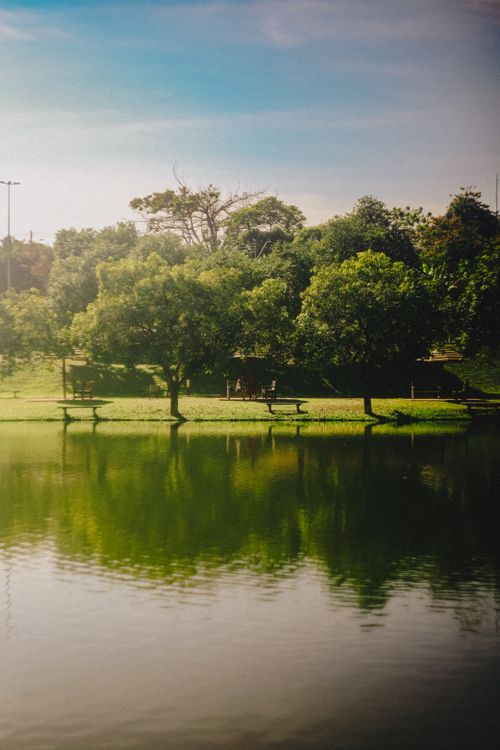 Free Peaceful park scene with trees reflecting in a calm lake under bright summer sky. Stock Photo