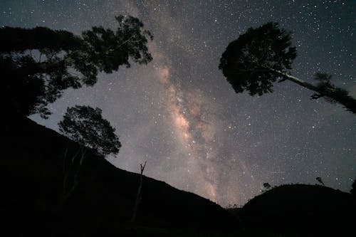 Darmowe zdjęcie z galerii z astronomia, ciemny, drzewo