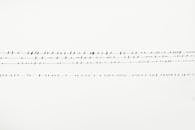 无数鸟儿的轮廓排列在高架电缆上，映衬着平淡的天空，构成一幅艺术的景色