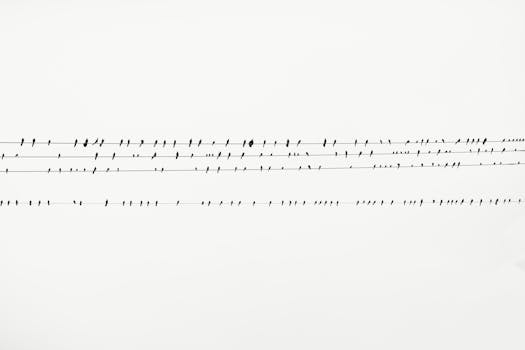 无数鸟儿的轮廓排列在高架电缆上，映衬着平淡的天空，构成一幅艺术的景色