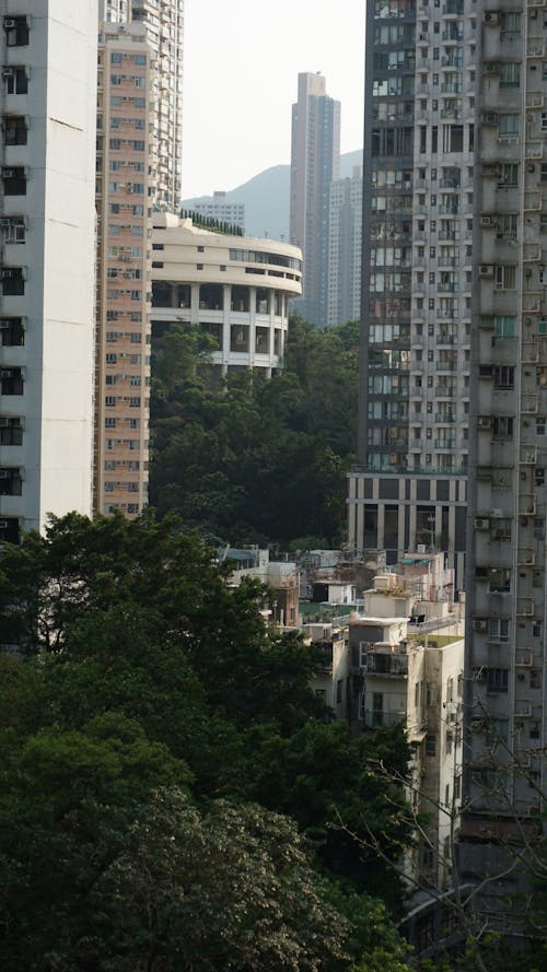 Foto profissional grátis de alto, ao ar livre, apartamento