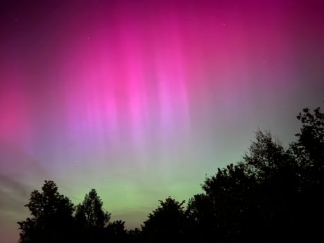 Colorful aurora borealis glowing over trees with vibrant shades at night.