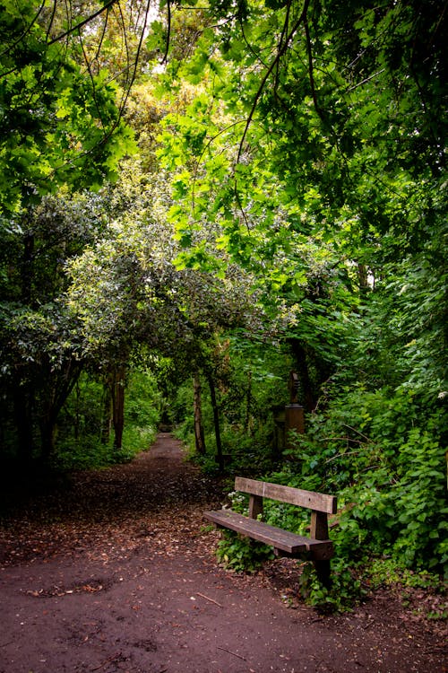 Abney Park Cemetery Trust