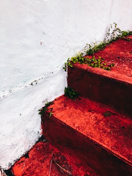 白色的墙壁映衬着红色混凝土楼梯和绿色植物
