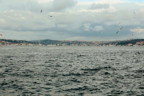 A large body of water with birds flying over it