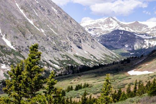 Mountain Side with Trees in Foreground