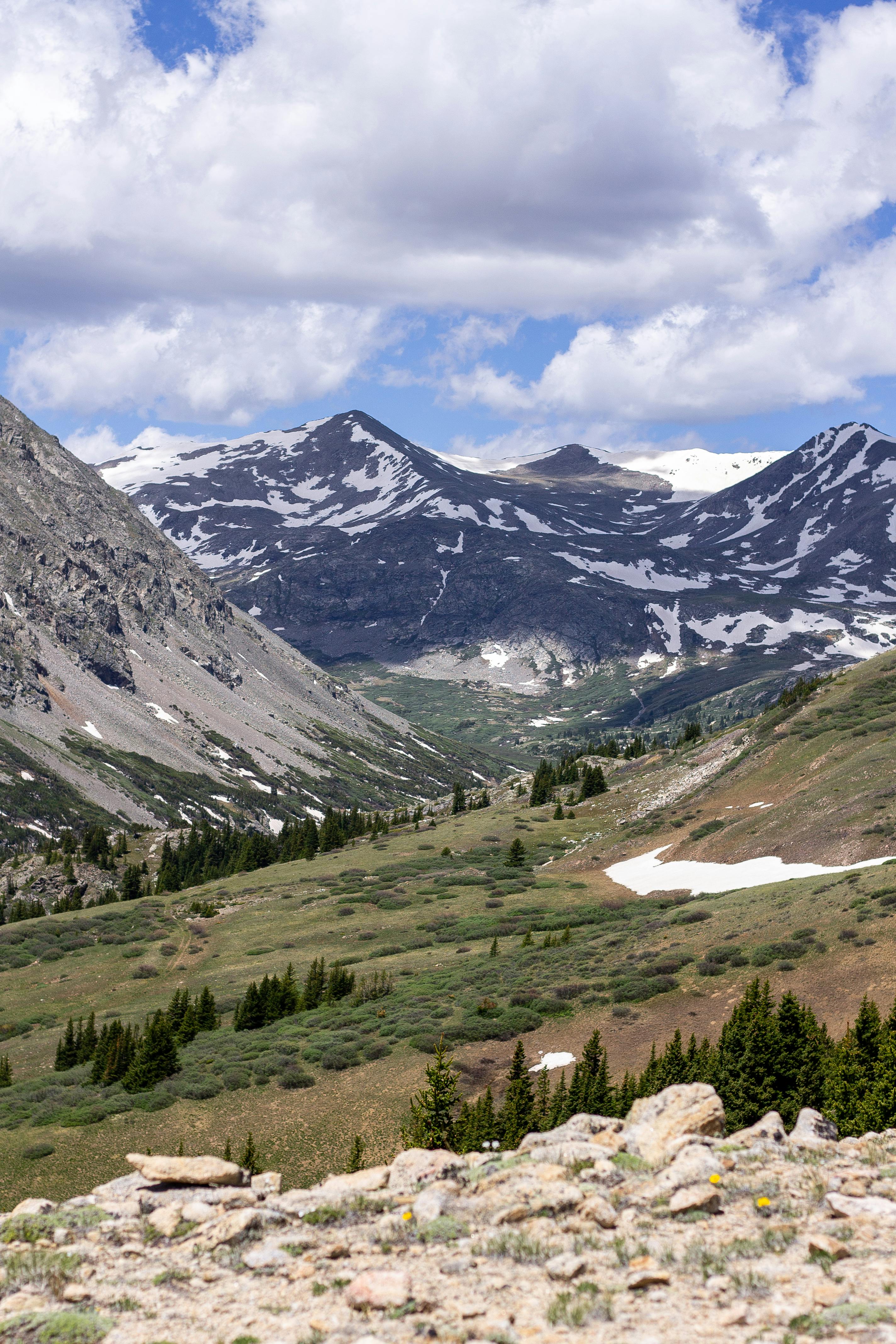 mountain vista with snow pine trees